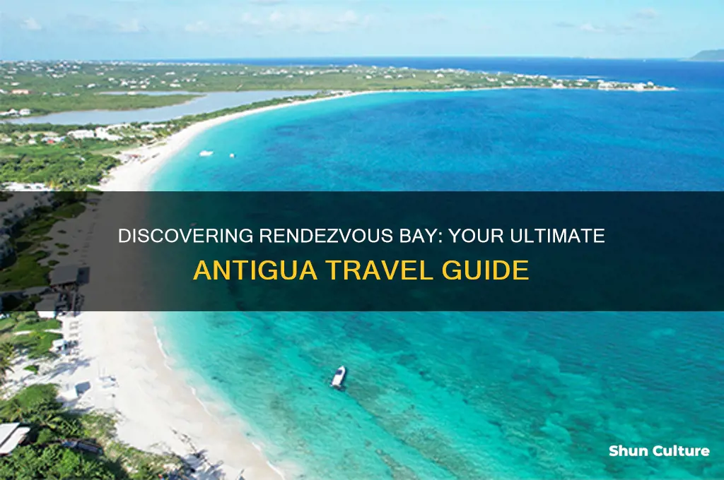 how to get to rendezvous bay antigua
