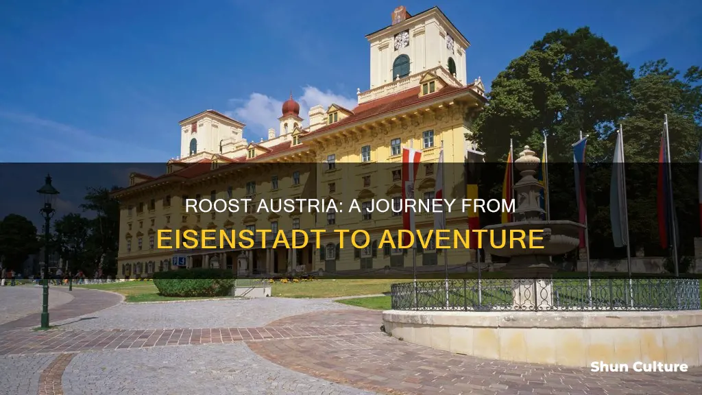 how to get to roost austria from eisenstadt