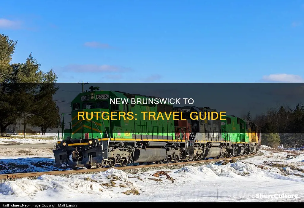 how to get to rugers from new brunswick train station