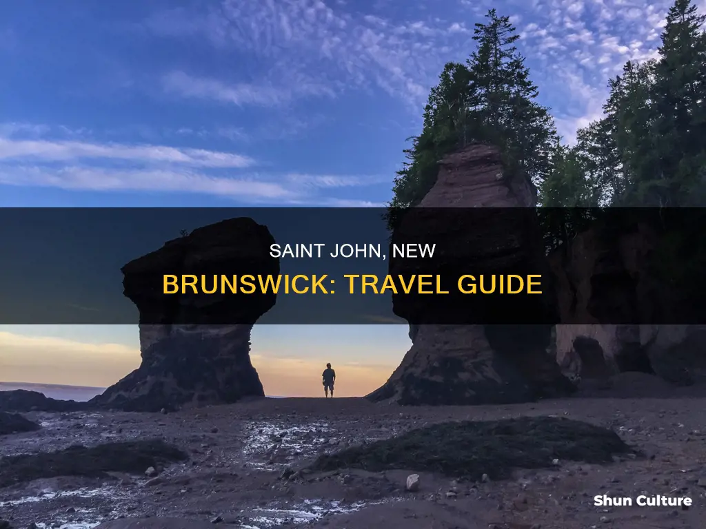 how to get to saint john new brunswick