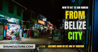 Travel Guide: Belize City to San Ignacio