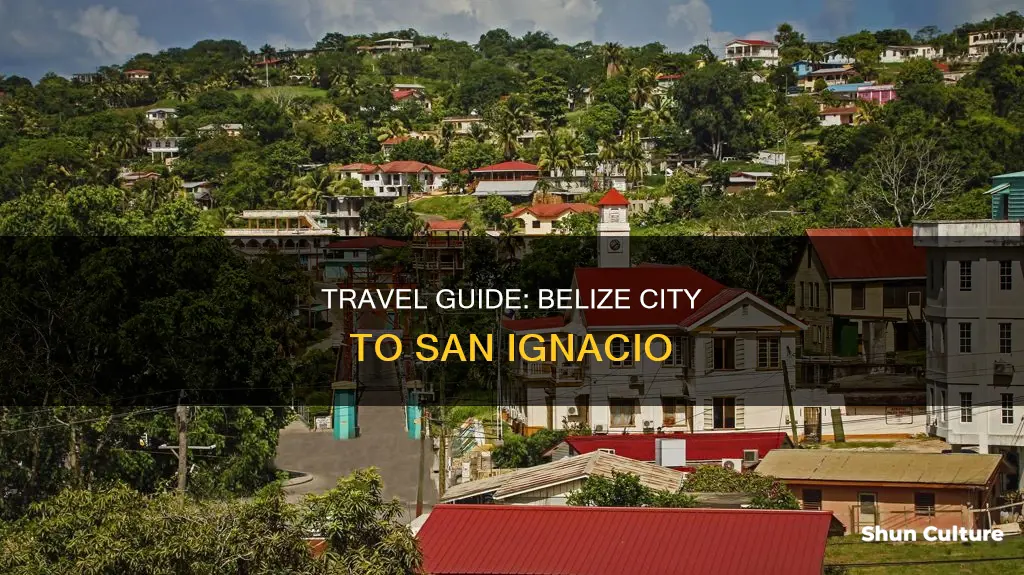 how to get to san ignacio from belize city