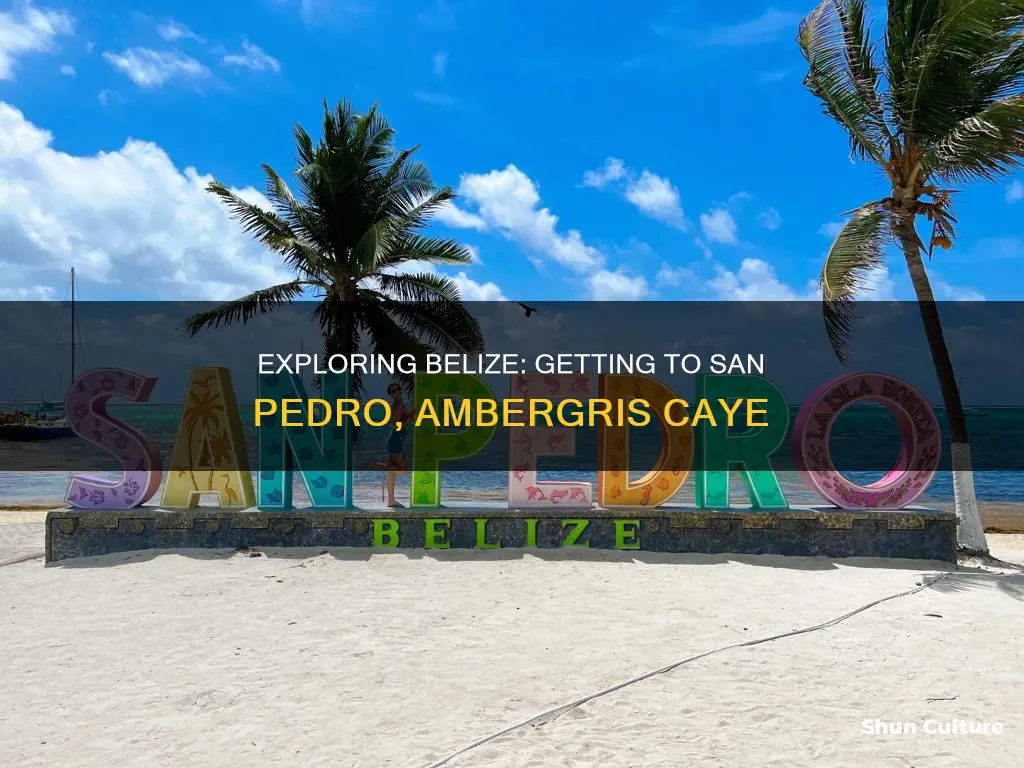 how to get to san pedro ambergris caye belize