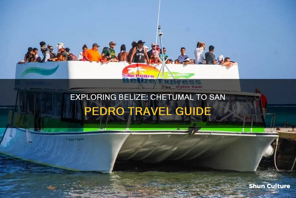 how to get to san pedro belize from chetumal