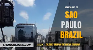 Travel Guide: Best Routes to Reach São Paulo, Brazil Easily