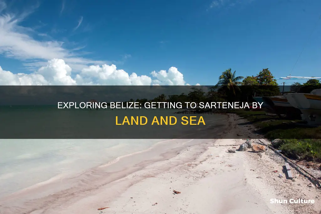 how to get to sarteneja belize