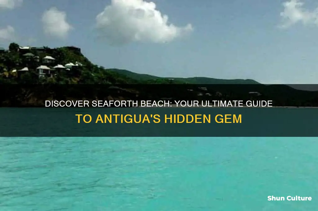 how to get to seaforth beach antigua
