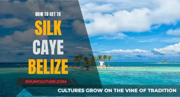 Exploring Silk Caye: Travel Tips for Your Belize Adventure