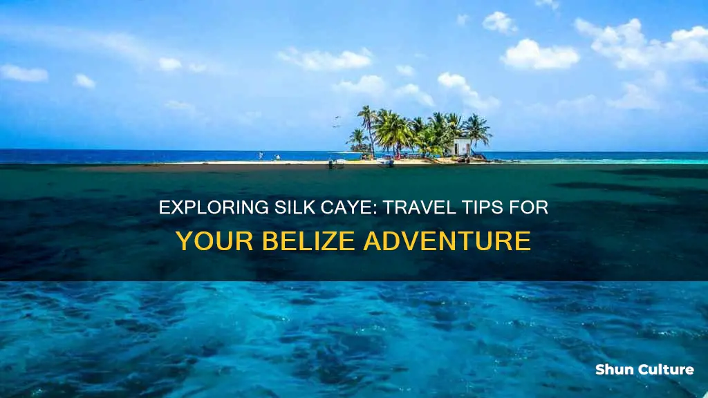 how to get to silk caye belize