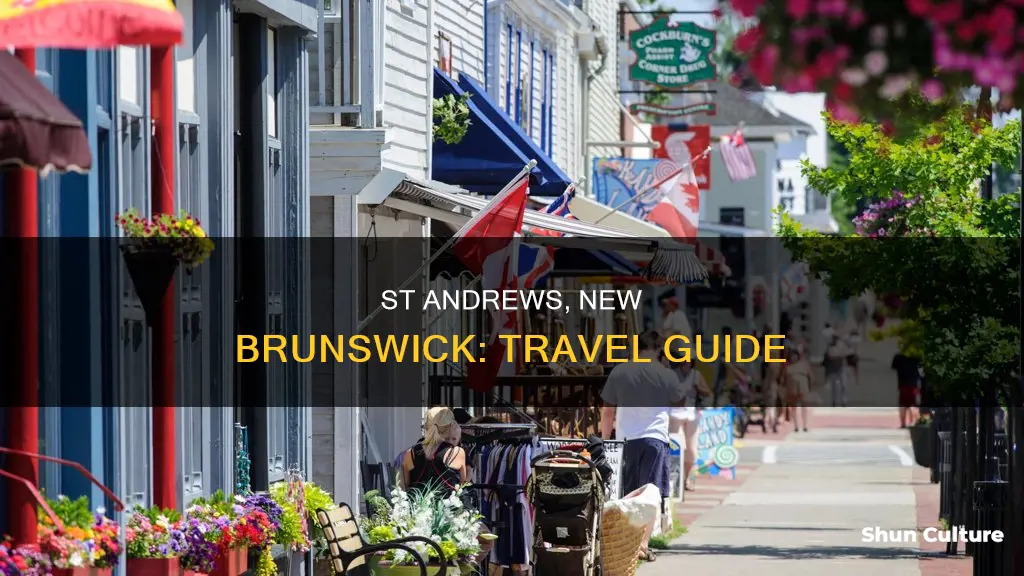 how to get to st andrews new brunswick