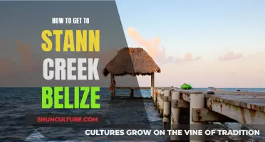 Exploring Stann Creek: Travel Tips for Belize Adventure