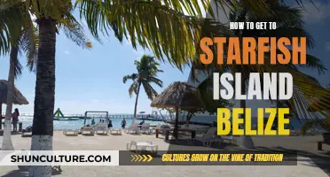 Exploring Starfish Island: A Belizean Adventure