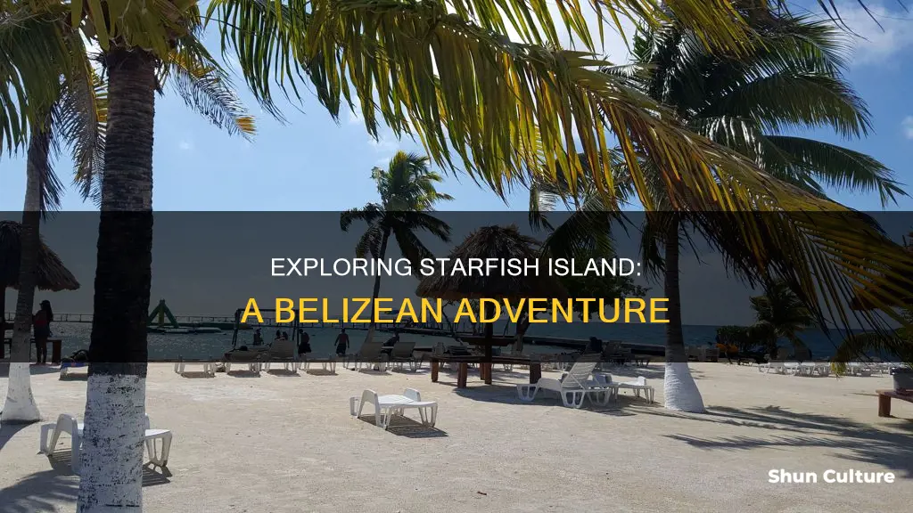 how to get to starfish island belize