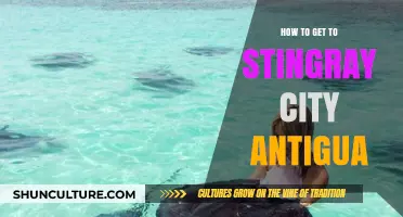 Discover Antigua's Stingray City: Your Ultimate Guide to Getting There