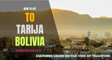 Exploring Tarija, Bolivia: Travel Tips and Tricks