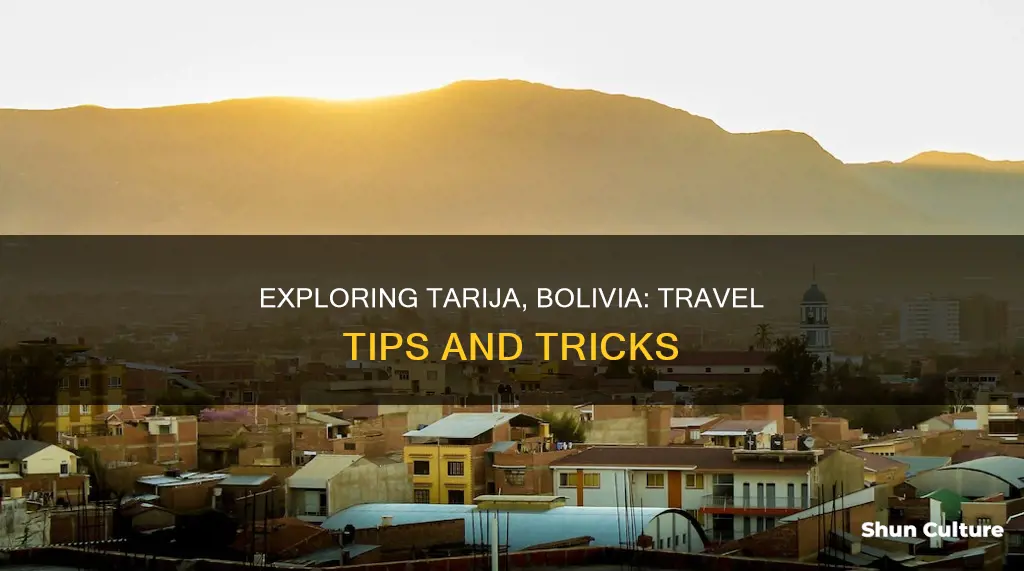 how to get to tarija bolivia