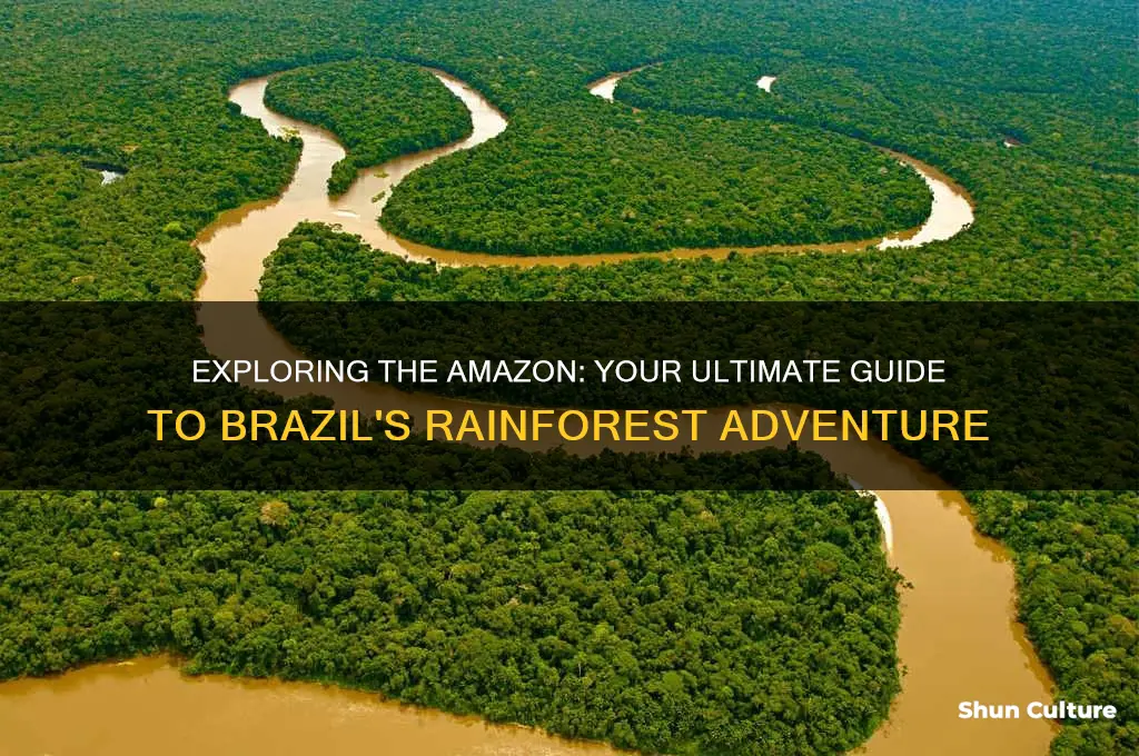how to get to the amazon rainforest in brazil