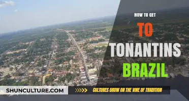Exploring the Amazon: Your Ultimate Guide to Reaching Tonantins, Brazil