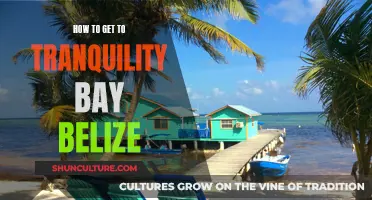 Exploring Belize: A Guide to Tranquility Bay