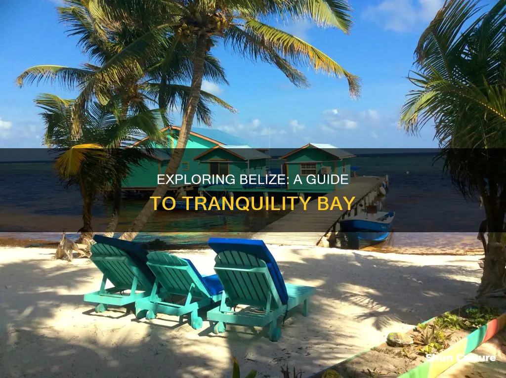 how to get to tranquility bay belize