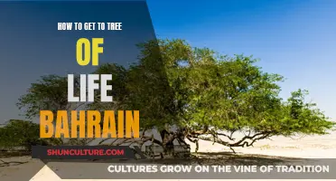 Exploring Bahrain: Finding the Tree of Life