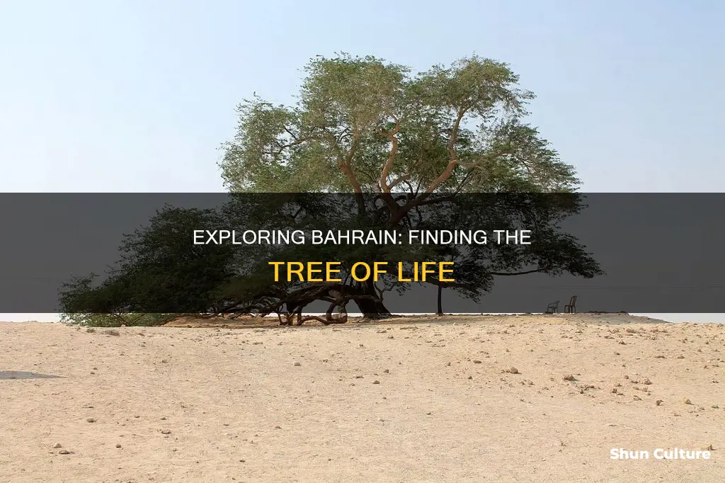 how to get to tree of life bahrain