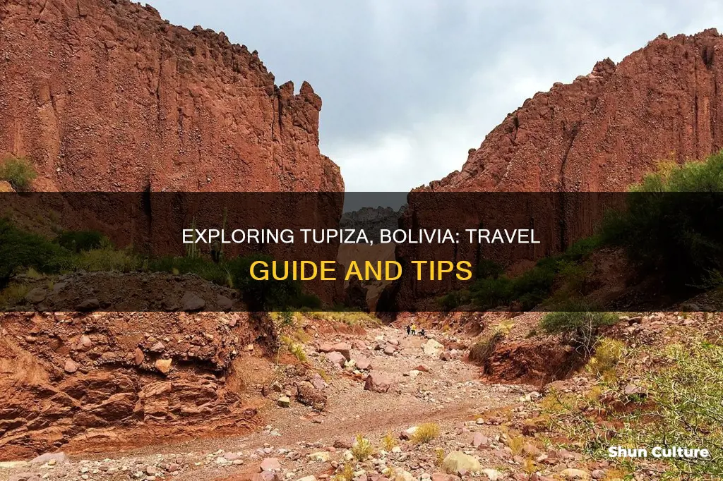 how to get to tupiza bolivia