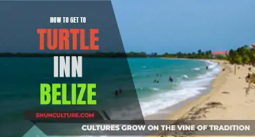 Exploring Belize: Getting to Turtle Inn