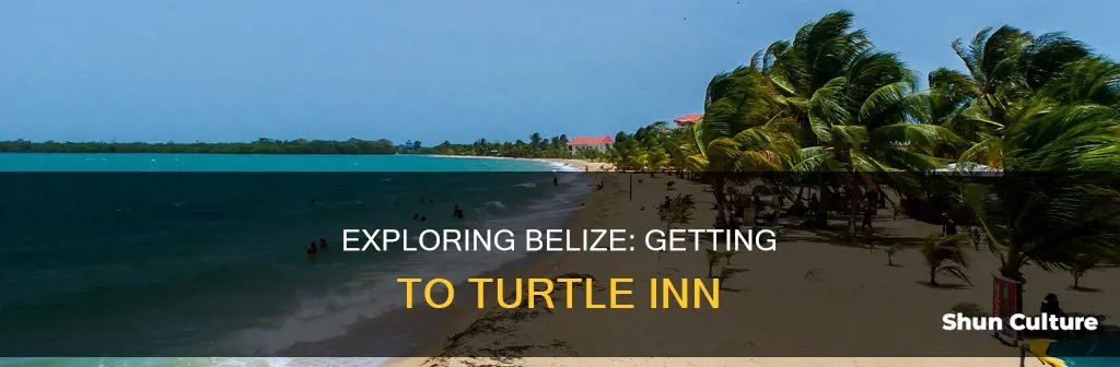 how to get to turtle inn belize