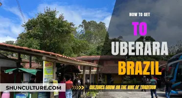 Discover Uberaba, Brazil: Essential Travel Tips and Routes to Get There