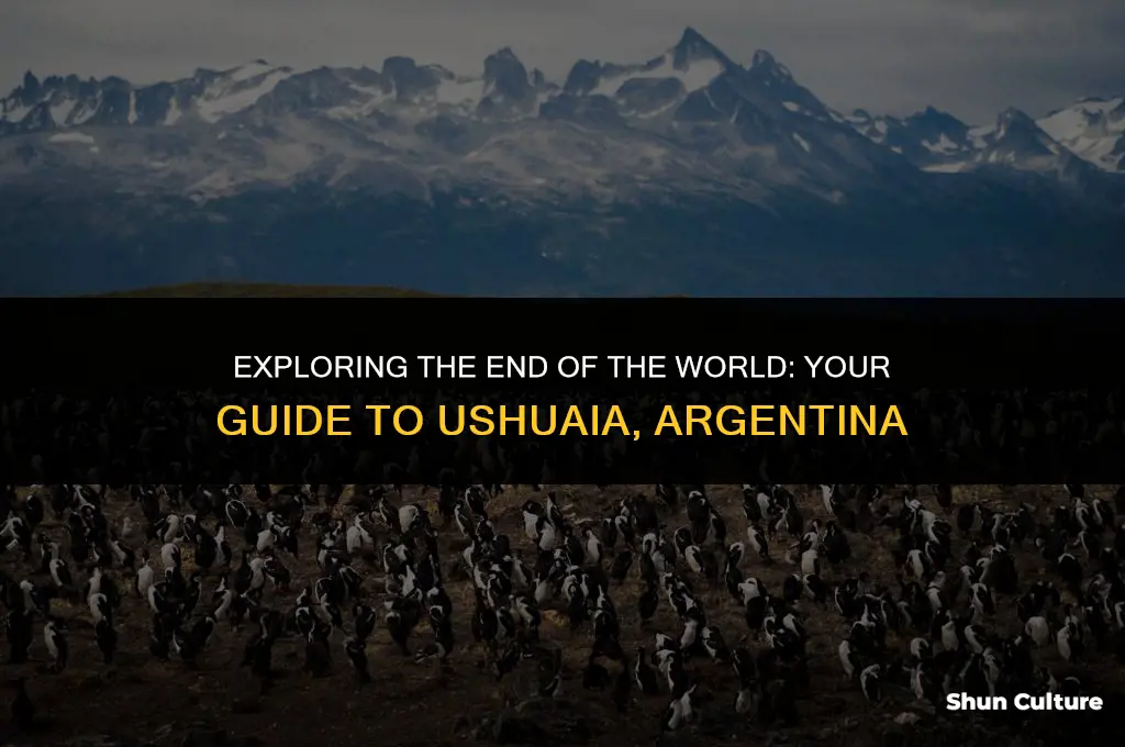 how to get to ushuaia argentina