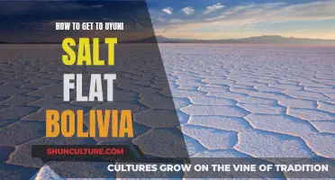 Exploring Bolivia: Uyuni Salt Flat Adventure