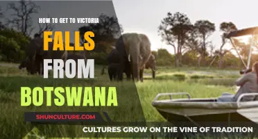Exploring Victoria Falls: Easy Travel Routes from Botswana Revealed