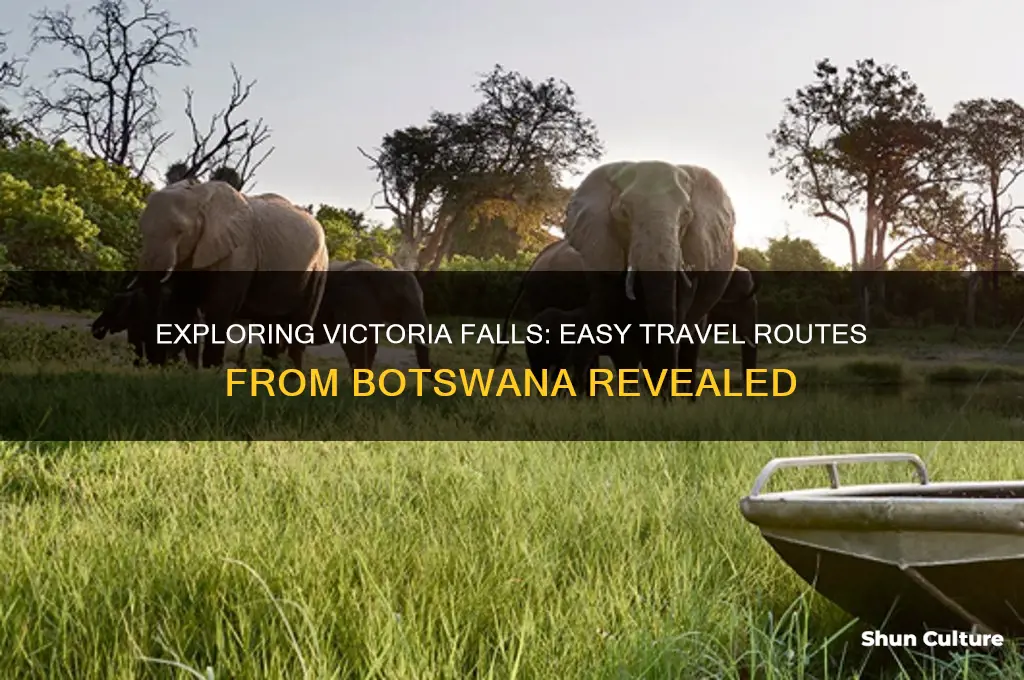 how to get to victoria falls from botswana