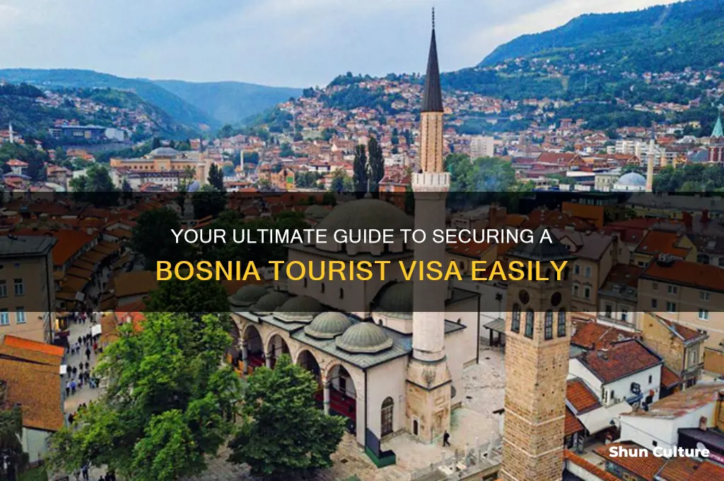 how to get tourist visa for bosnia