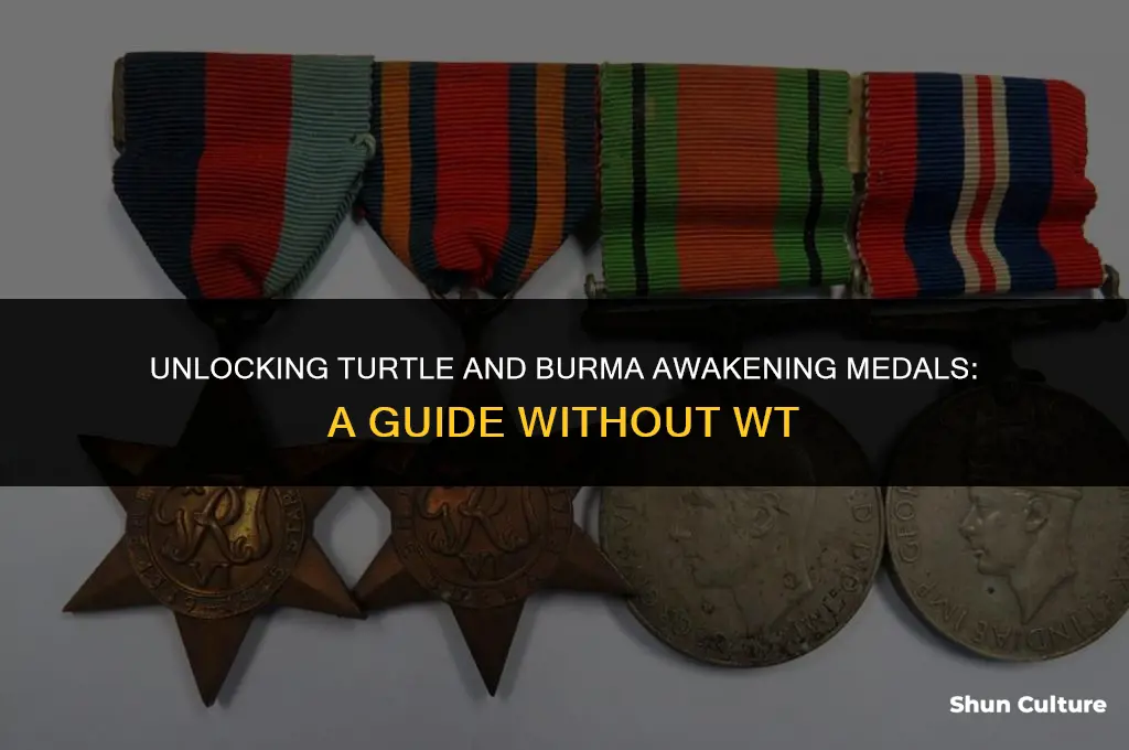 how to get turtle and burma awakening medals without wt