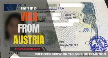 A Comprehensive Guide: Getting Your US Visa from Austria