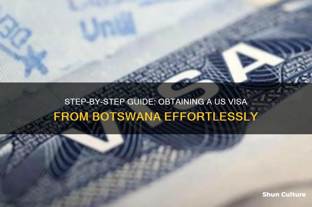 how to get us visa from botswana