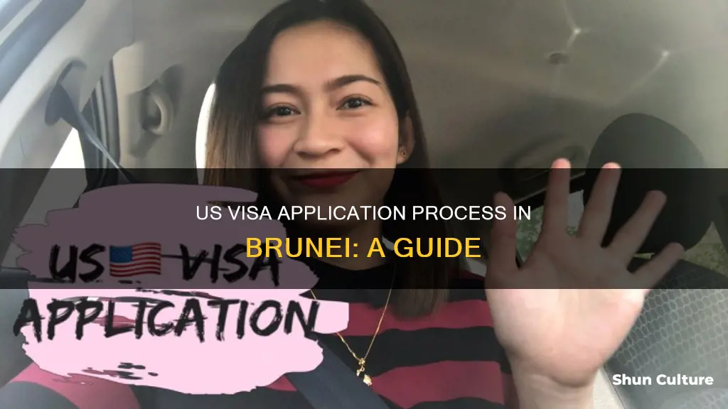 how to get us visa in brunei