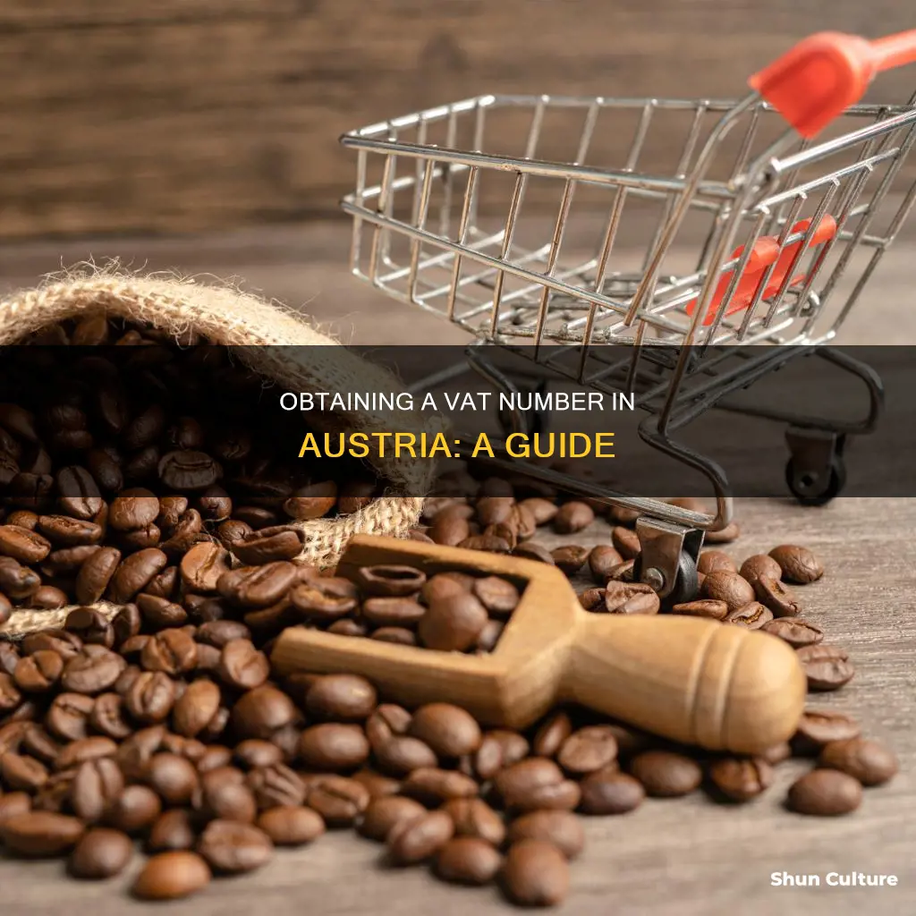 how to get vat number in austria