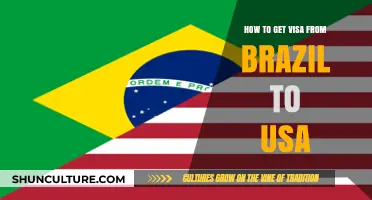 Step-by-Step Guide: Obtaining a USA Visa from Brazil Effortlessly