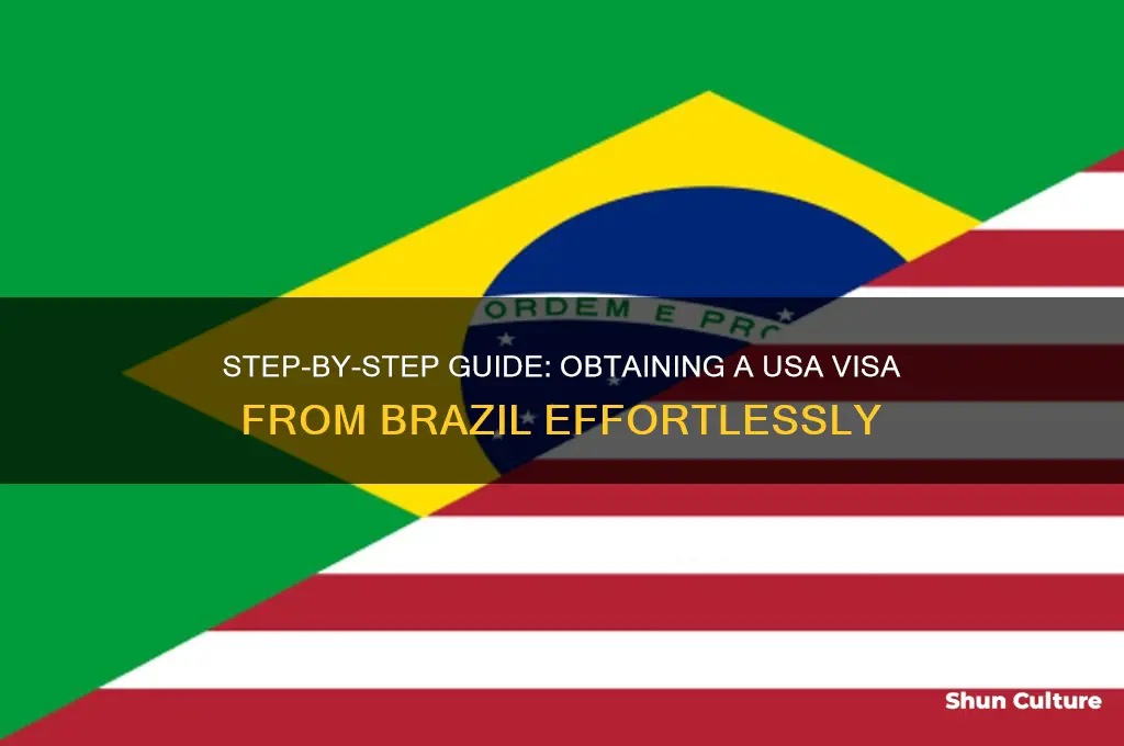 how to get visa from brazil to usa