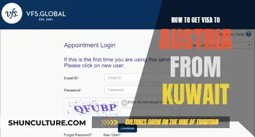 A Comprehensive Guide: Visa Application for Austria from Kuwait