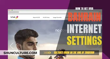 Get Your Viva Bahrain Internet Settings Easily