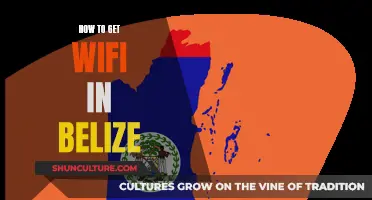 Belize's WiFi: Getting Connected in the Country