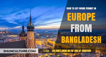 Guide to Obtaining a European Work Permit for Bangladeshis