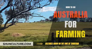 Farming Down Under: Your Guide to Starting Agriculture in Australia