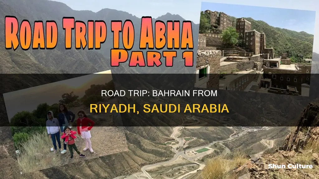 how to go bahrain from riyadh by road