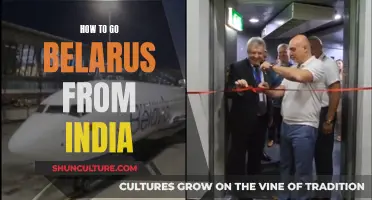 Travel Guide: India to Belarus