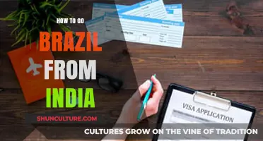 Travel Guide: India to Brazil – Planning Your Journey